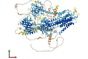 AlphaFold protein structure predicition of Human Recombinant ATP10D Protein, UniprotID Q9P241