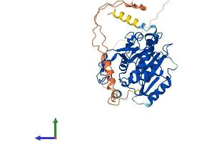 AlphaFold protein structure predicition of Mouse Recombinant B3galt2 Protein, UniprotID O54905