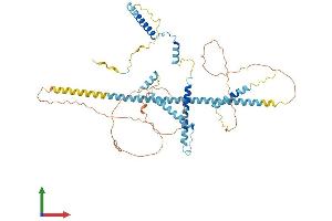 AlphaFold protein structure predicition of Mouse Recombinant Nsrp1 Protein, UniprotID Q5NCR9