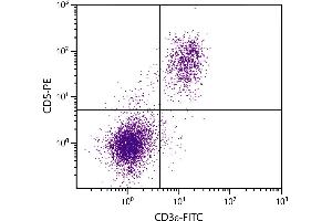 C57BL/6 mouse splenocytes were stained with Rat Anti-Mouse CD5-PE. (CD5 anticorps  (PE))
