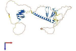 AlphaFold protein structure predicition of Human Recombinant E2F2 Protein, UniprotID Q14209