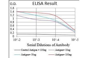 Black line: Control Antigen (100 ng), Purple line: Antigen(10 ng), Blue line: Antigen (50 ng), Red line: Antigen (100 ng), (CDX2 anticorps  (AA 176-303))