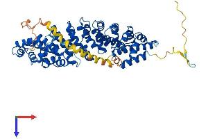 AlphaFold protein structure predicition of Human Recombinant KPNA1 Protein, UniprotID P52294