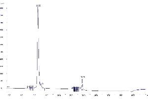 Purification via Ion Exchange Chromatography (Step 1) (TAMRA anticorps)