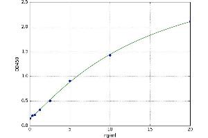 Linker For Activation of T Cells (LAT) ELISA Kit