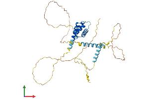 AlphaFold protein structure predicition of Mouse Recombinant Mkx Protein, UniprotID Q8BIA3