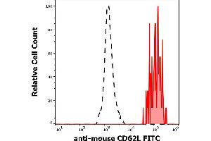 Separation of murine CD62L positive cells (red-filled) from murine CD62L negative cells (black-dashed) in flow cytometry analysis (surface staining) of murine splenocyte suspension stained using anti-mouse CD62L (Mel-14) FITC antibody (concentration in sample 9 μg/mL). (L-Selectin anticorps  (FITC))