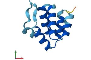 AlphaFold protein structure predicition of Human Recombinant PYDC1 Protein, UniprotID Q8WXC3