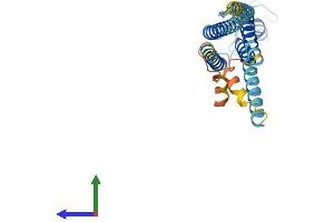 AlphaFold protein structure predicition of Human Recombinant GJB6 Protein, UniprotID O95452