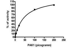 Analysis of enzymatic activity was performed according to the Zlyte assay protocol (Invitrogen): 1. (PAK1 Protein (AA 248-545))