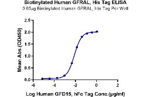 Immobilized Biotinylated Human GFRAL, His Tag at 0.
