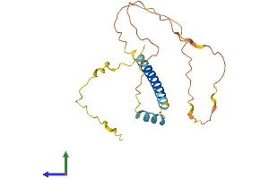 AlphaFold protein structure predicition of Human Recombinant BBC3 Protein, UniprotID Q9BXH1