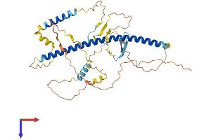 AlphaFold protein structure predicition of Mouse Recombinant Mcidas Protein, UniprotID Q3UZ45