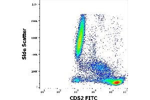 Flow cytometry surface staining pattern of human peripheral whole blood stained using anti-human CD52 (4C8) FITC antibody (4 μL reagent / 100 μL of peripheral whole blood). (CD52 anticorps  (FITC))