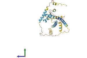 AlphaFold protein structure predicition of Human Recombinant STRA8 Protein, UniprotID Q7Z7C7