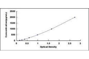 Bone Morphogenetic Protein 3 (BMP3) ELISA Kit