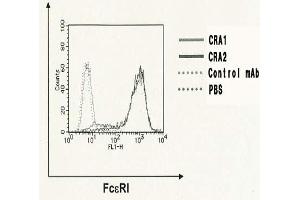 Flow Cytometry (FACS) image for anti-Fc Fragment of IgE Receptor Ia (FCER1A) antibody (Biotin) (ABIN2451977) (Fc epsilon RI/FCER1A anticorps  (Biotin))