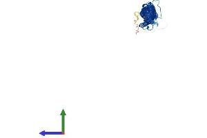AlphaFold protein structure predicition of Mouse Recombinant Tekt4 Protein, UniprotID Q149S1