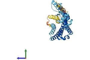 AlphaFold protein structure predicition of Human Recombinant OR6B3 Protein, UniprotID Q8NGW1