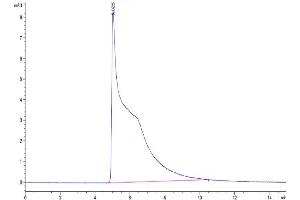 The purity of Human MIF is greater than 95 % as determined by SEC-HPLC.