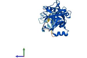 AlphaFold protein structure predicition of Mouse Recombinant Phyhip Protein, UniprotID Q8K0S0