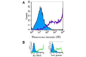 Specificity testing of GM1C8. (IL13RA2 anticorps  (Extracellular Domain))