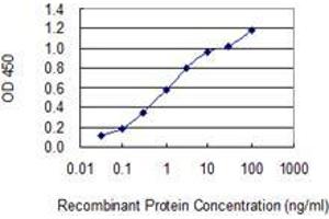 Detection limit for recombinant GST tagged CCNJL is 0.