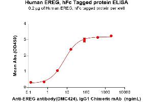 ELISA plate pre-coated by 2 μg/mL (100 μL/well) Human EREG Protein, hFc Tag (ABIN7092773, ABIN7272362 and ABIN7272363) can bind Anti-EREG antibody, IgG1 Chimeric mAb in a linear range of 0.