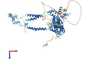 AlphaFold protein structure predicition of Human Recombinant SEC63 Protein, UniprotID Q9UGP8