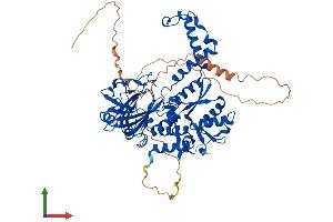 AlphaFold protein structure predicition of Mouse Recombinant Riox1 Protein, UniprotID Q9JJF3
