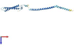 AlphaFold protein structure predicition of Mouse Recombinant Mis12 Protein, UniprotID Q9CY25