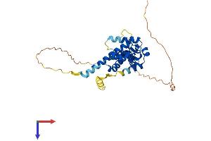 AlphaFold protein structure predicition of Human Recombinant MAGEA8 Protein, UniprotID P43361