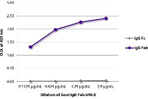 ELISA plate was coated with serially diluted Goat IgG Fab-UNLB and quantified.