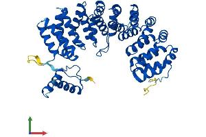 AlphaFold protein structure predicition of Mouse Recombinant Armc6 Protein, UniprotID Q8BNU0