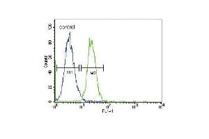 GADD45A Antibody (N-term) (ABIN389281 and ABIN2839407) flow cytometric analysis of K562 cells (right histogram) compared to a negative control cell (left histogram).
