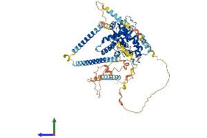 AlphaFold protein structure predicition of Mouse Recombinant Dtnb Protein, UniprotID O70585
