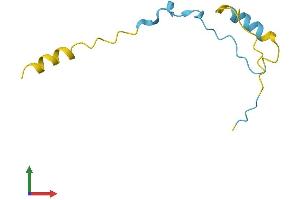 AlphaFold protein structure predicition of Human Recombinant CDC42SE2 Protein, UniprotID Q9NRR3