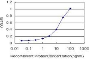 Detection limit for recombinant GST tagged UGT2B10 is approximately 0. (UGT2B10 anticorps  (AA 62-159))