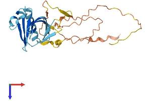 AlphaFold protein structure predicition of Mouse Recombinant Plekhb1 Protein, UniprotID Q9QYE9
