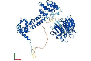 AlphaFold protein structure predicition of Mouse Recombinant Klhl20 Protein, UniprotID Q8VCK5