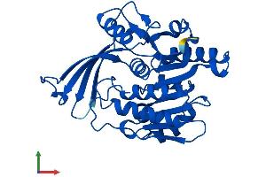 AlphaFold protein structure predicition of Human Recombinant KHK Protein, UniprotID P50053