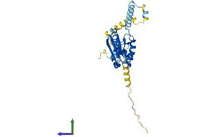 AlphaFold protein structure predicition of Human Recombinant PDCL2 Protein, UniprotID Q8N4E4