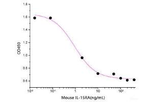 ELISA image for Interleukin 15 Receptor, alpha (IL15RA) (Active) protein (Fc Tag) (ABIN7320556)