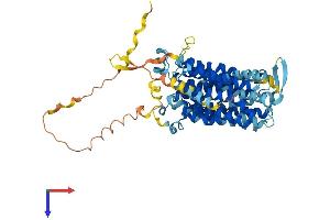 AlphaFold protein structure predicition of Human Recombinant SLC17A7 Protein, UniprotID Q9P2U7