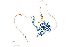 AlphaFold protein structure predicition of Human Recombinant TRMT10A Protein, UniprotID Q8TBZ6