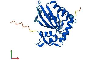 AlphaFold protein structure predicition of Human Recombinant APOBEC3A Protein, UniprotID P31941