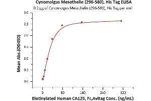 Immobilized Cynomolgus Mesothelin (296-580), His Tag (ABIN6973155) at 2 μg/mL (100 μL/well) can bind Biotinylated Human CA125, Fc,Avitag (ABIN5954926,ABIN6253567) with a linear range of 2-39 ng/mL (Routinely tested).