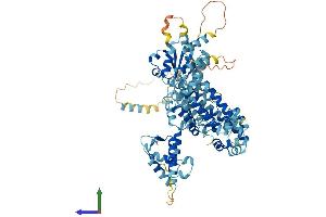 AlphaFold protein structure predicition of Human Recombinant ORC3 Protein, UniprotID Q9UBD5