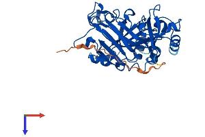 AlphaFold protein structure predicition of Human Recombinant FAHD2A Protein, UniprotID Q96GK7