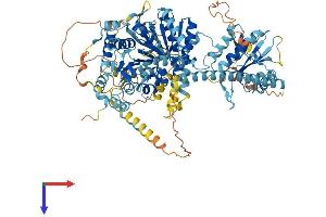 AlphaFold protein structure predicition of Mouse Recombinant Chd1l Protein, UniprotID Q9CXF7